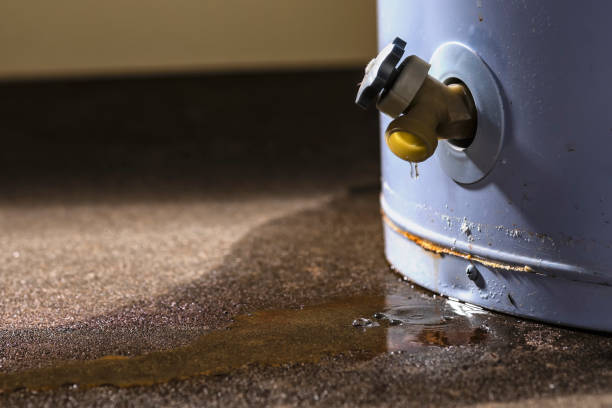 Best Basement water damage restoration  in Warsaw, KY