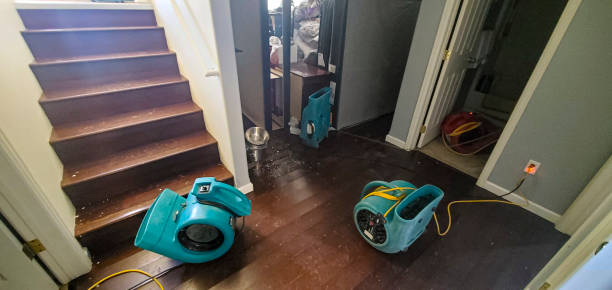 Best Local water damage restoration  in Warsaw, KY