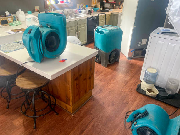 Best Professional water damage repair  in Warsaw, KY