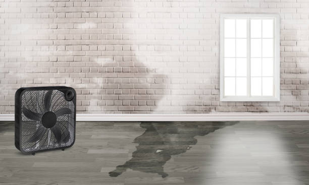 Best Flood restoration services  in Warsaw, KY
