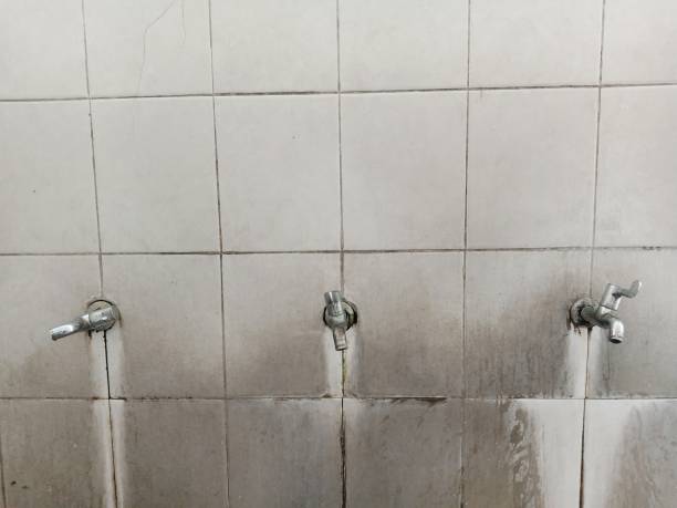 Best Water damage restoration near me  in Warsaw, KY