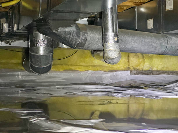 Best Fire Damage Restoration  in Warsaw, KY