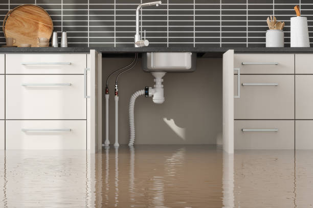 Best Water damage restoration cost  in Warsaw, KY