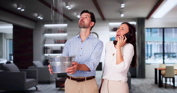 Best Water damage cleanup near me  in Warsaw, KY