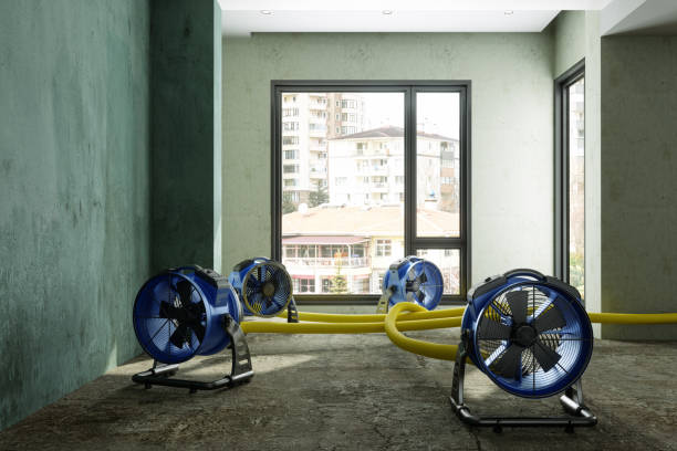 Best 24/7 water damage repair  in Warsaw, KY